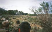 GOE II 1996 099